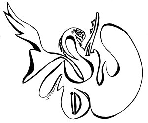 300x250 Bird Flight Drawings