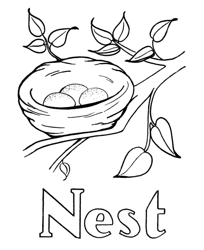 Bird In Nest Drawing at GetDrawings | Free download