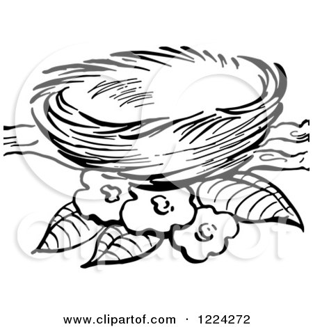 450x470 Clipart Of A Black And White Bird Nest And Blossoms On A Branch