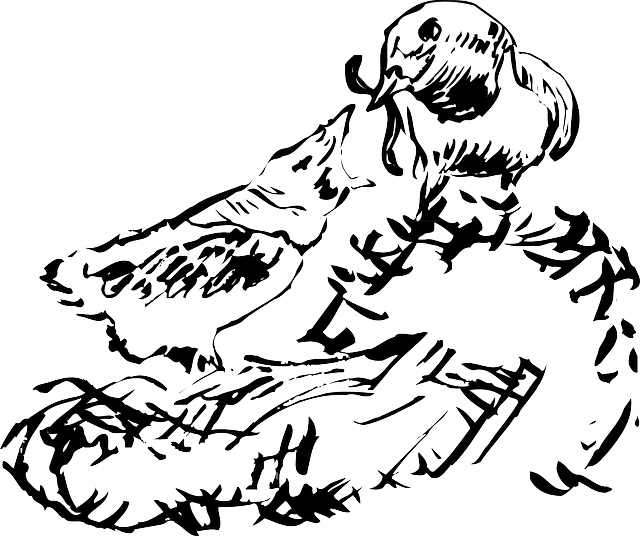 640x536 Animals, Baby, Worm, Drawing, Bird, Chick, Nest