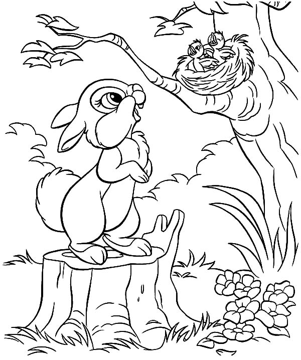 600x718 Mom And Baby Bird Coloring Pages Little Rabbit Saw Nest