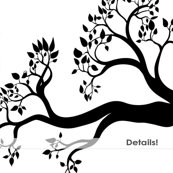 570x570 Nest Clipart Tree Drawing