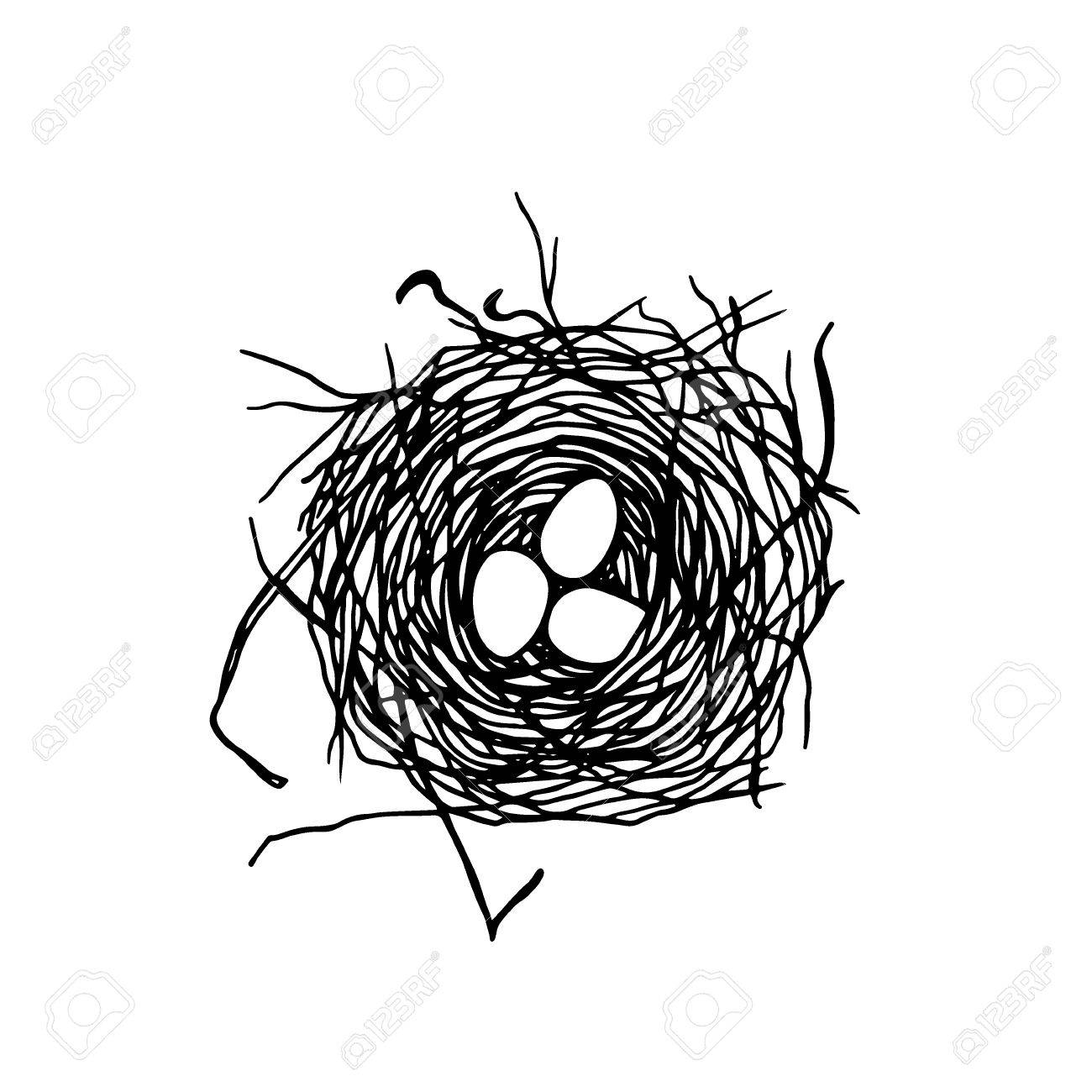 1300x1300 Vector Illustration Of Hand Drawn Bird Nest With Three Eggs
