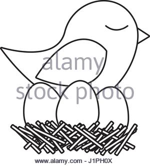 300x333 Monochrome Silhouette Of Bird In Nest With Eggs In Closeup Stock