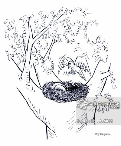 400x482 Cartoon Bird Nest In Tree