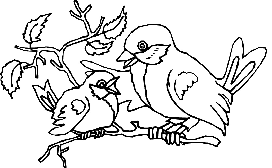 1057x653 Bird Coloring Pages For Kids Printable In Pretty Print Printable