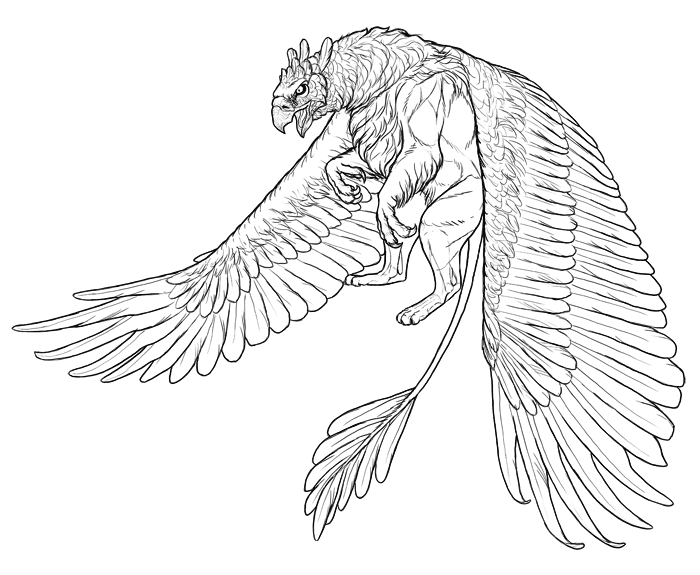 700x575 How To Draw A Griffin