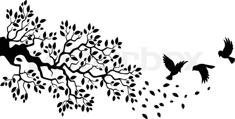 800x407 Vector Illustration Of Cartoon Tree Branch With Bird Silhouette