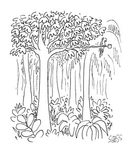 259x300 Bird In Tree Drawings Fine Art America