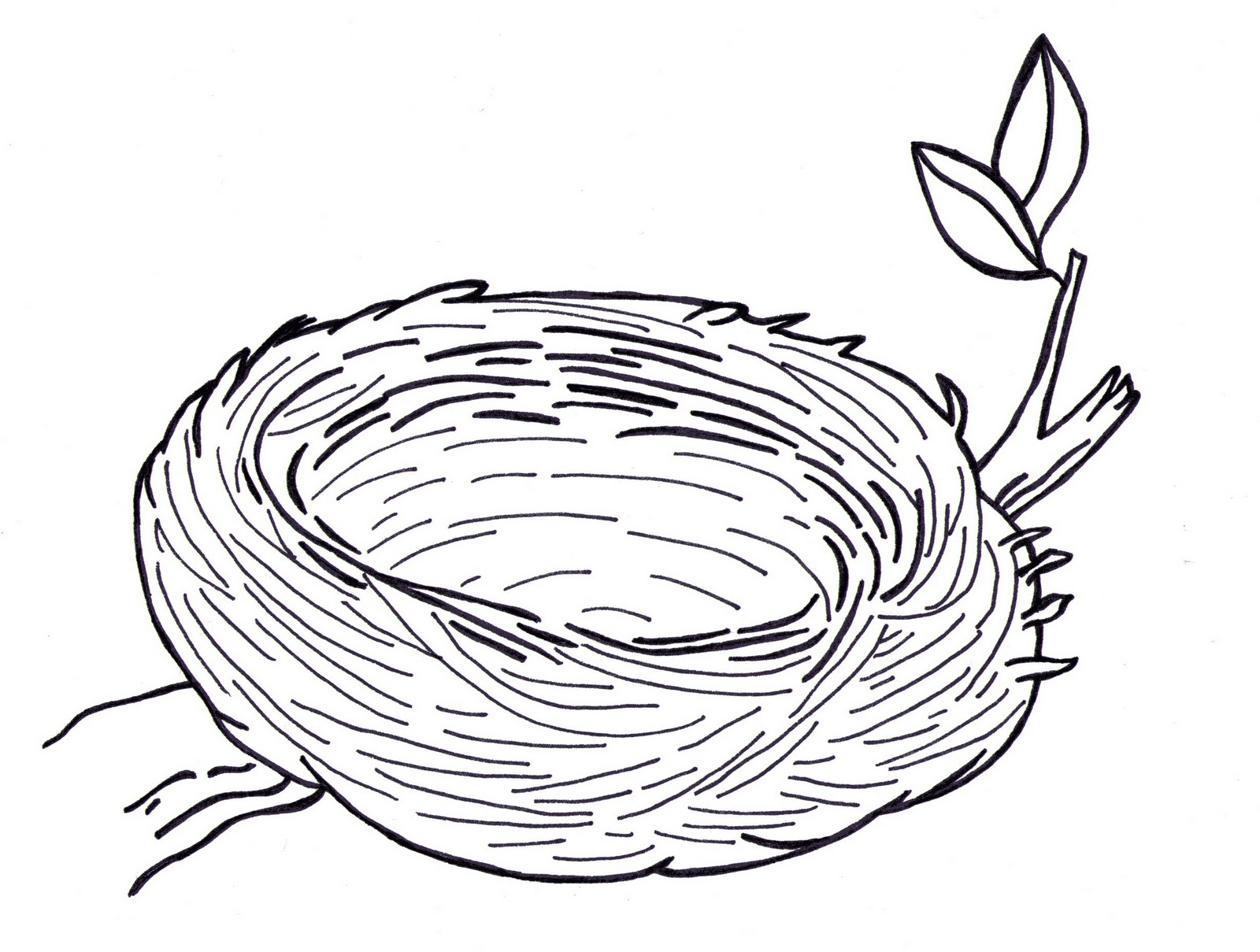 1600x1209 Bird Nest In Tree Drawing
