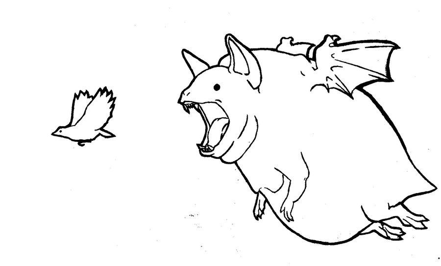 900x544 Bird And Bat, Ink Drawing By Exesandohes