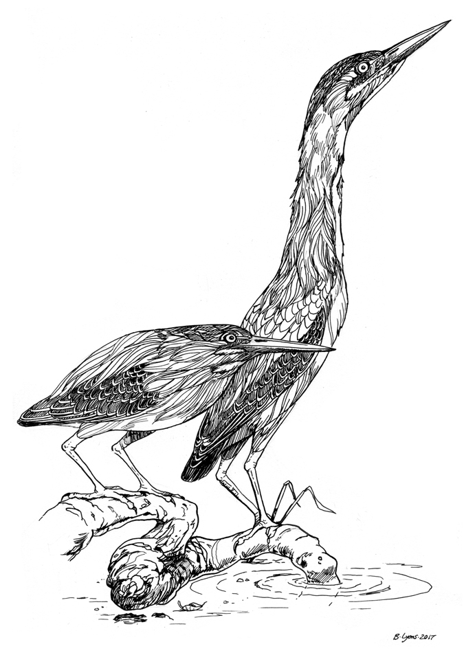 691x950 Inktober Day 5