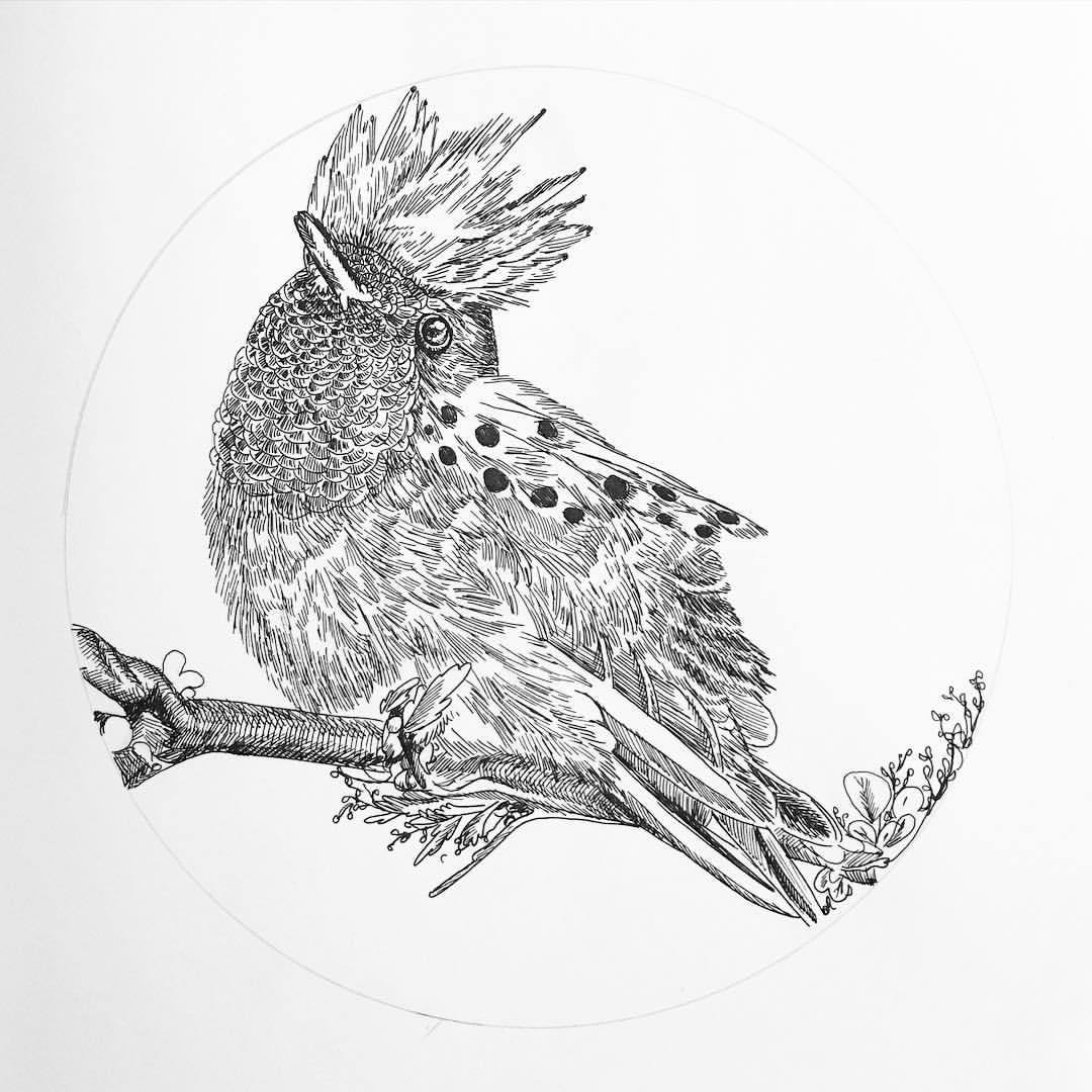 1080x1080 Mary Ann Cummings