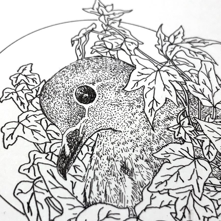 900x900 Ink Drawing Cry The Bird