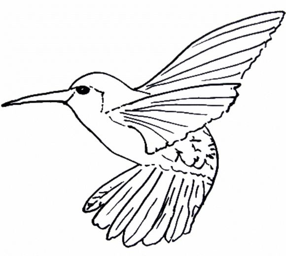 Bird Line Drawing at GetDrawings | Free download