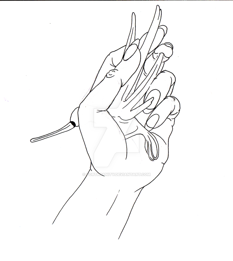 800x894 Hand Line Drawing [Holding Glass Bird] By Forthsanity