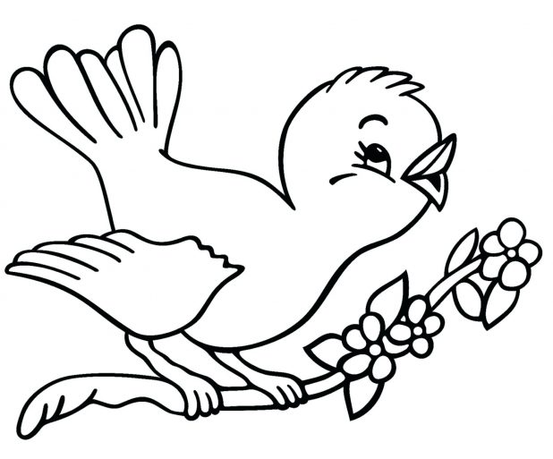618x513 Images Outlines Of Birds In Line Drawings With Flight And Animals