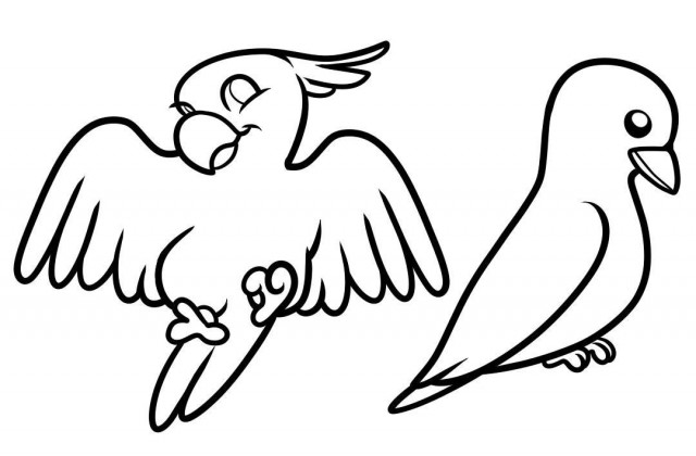 640x420 Tag For Draw Pictures Of Birds Bird Drawing By Eleihna