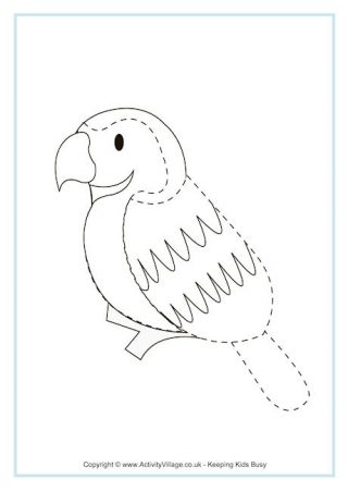 320x452 Bird Tracing Pages