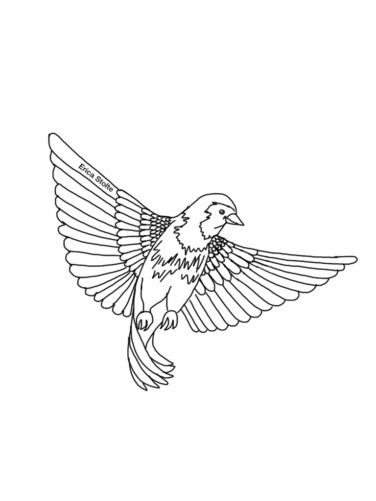 768x1024 Bird Line Drawing By 51mrsnickjonas94