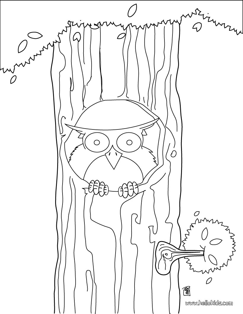 820x1060 Bird Nest Tree Coloring Bird Coloring Pages
