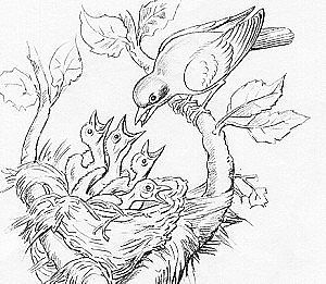 300x261 11 Best Tangles For Days Images On Tangled, Zentangle