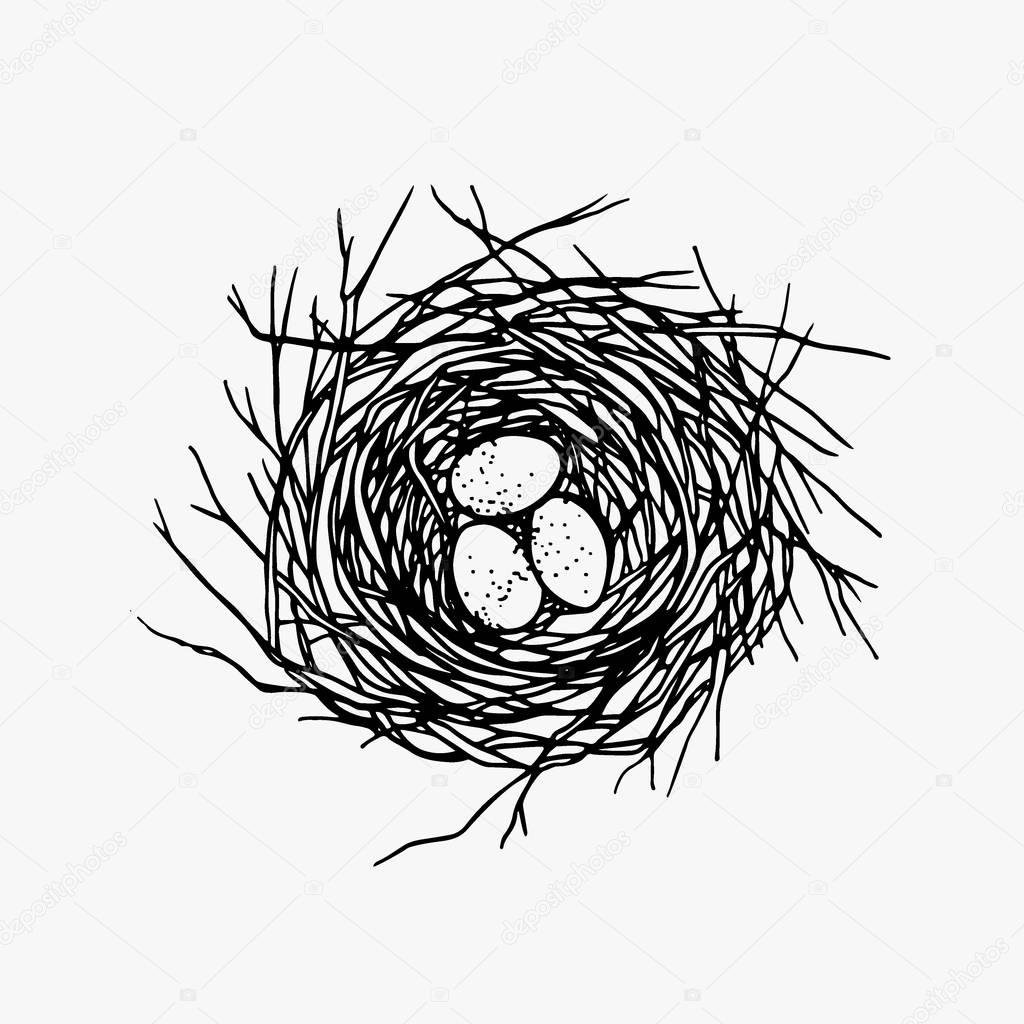 1024x1024 Hand Drawn Nest Illustration Stock Vector Ezhevica
