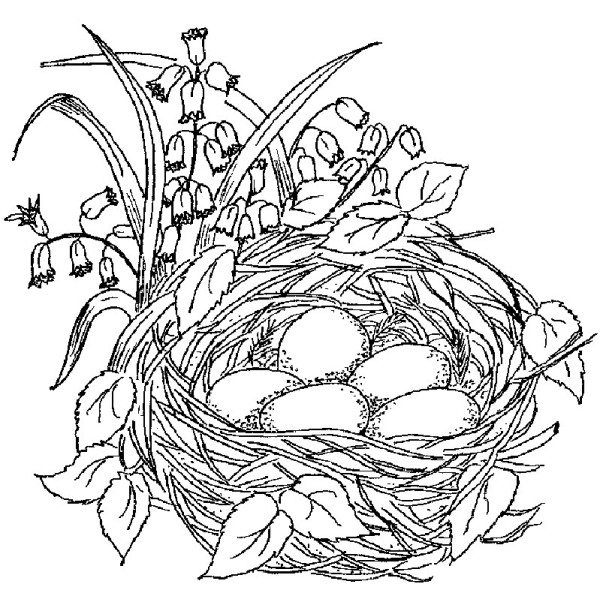 600x600 Purple Daisy Design K 707 Bird's Nest