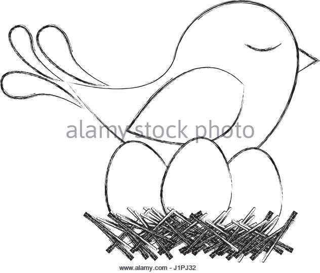 632x540 Small Baby Birds In Nest Stock Photos Amp Small Baby Birds In Nest