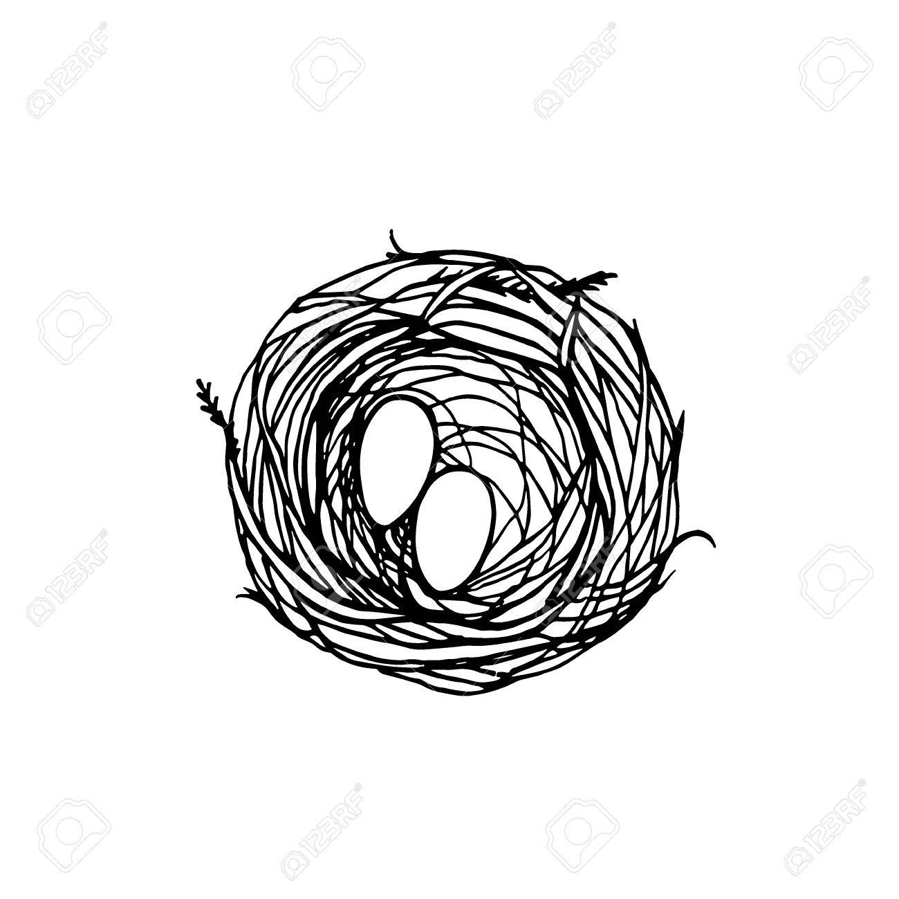 1300x1300 Vector Illustration Of Hand Drawn Bird Nest With Eggs. Graphic