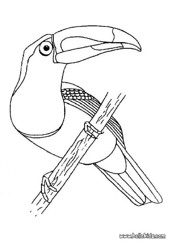601x850 Bird Nest Coloring Page