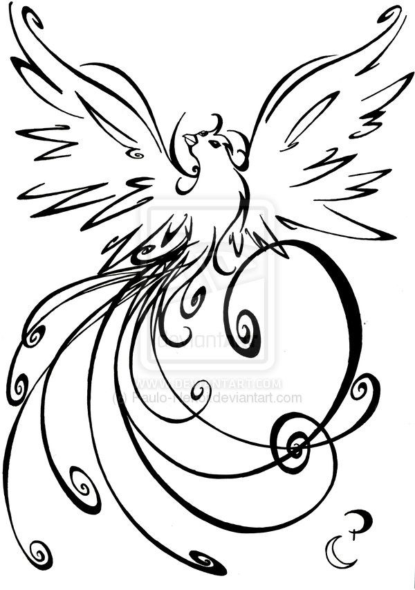 Bird Of Paradise Drawing