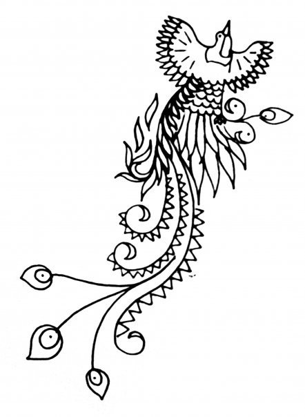 442x604 Bird Of Paradise Design By Awmil0