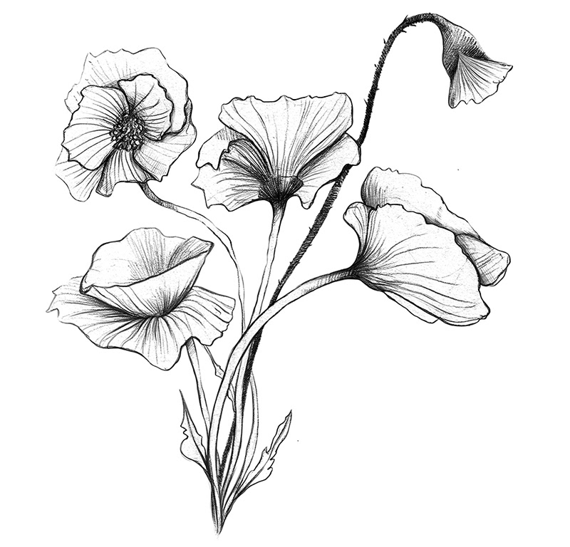 800x768 Venera Smilenova