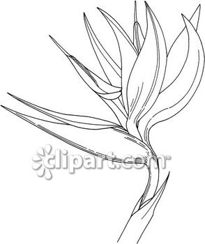 294x350 School Edition Demo