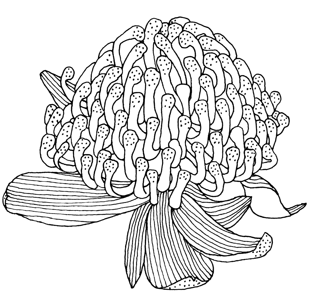 1024x958 My Backyard