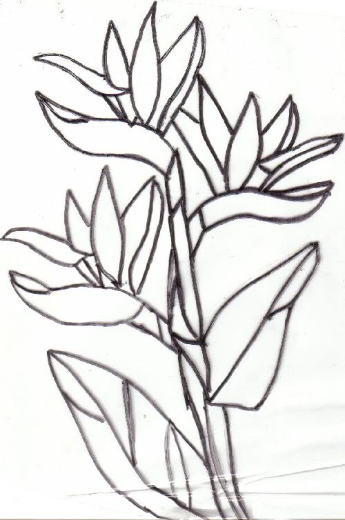 500x754 Bird Of Paradise