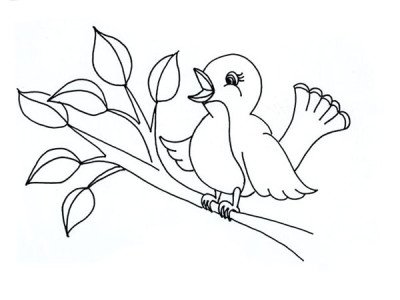 400x300 Coloring Pages For Kids. Learn To Color Birds How To Draw