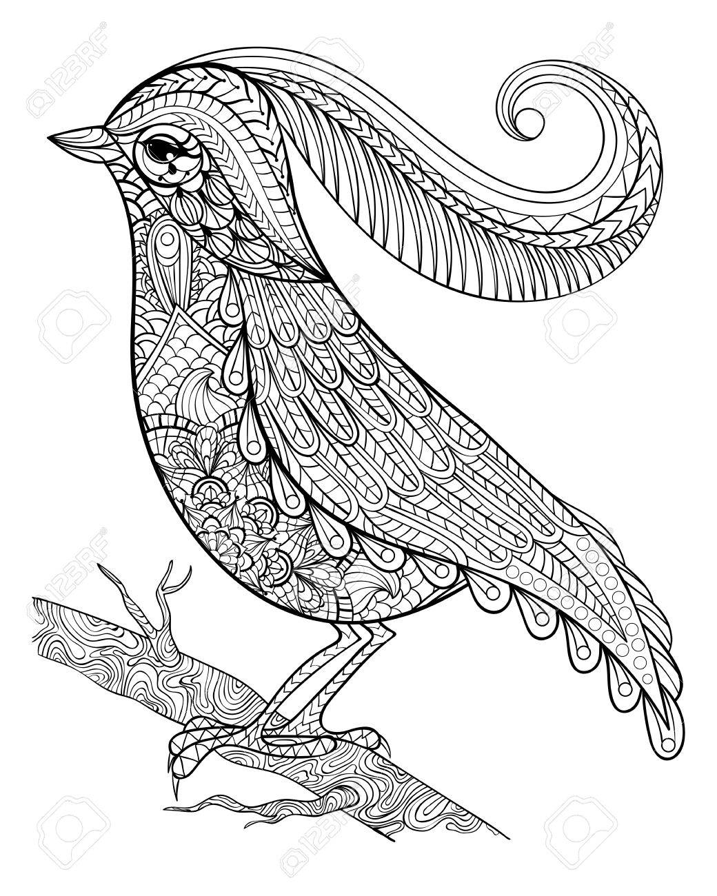 1040x1300 Hand Drawnbeautiful Delicate Bird Sitting On A Branch Framed