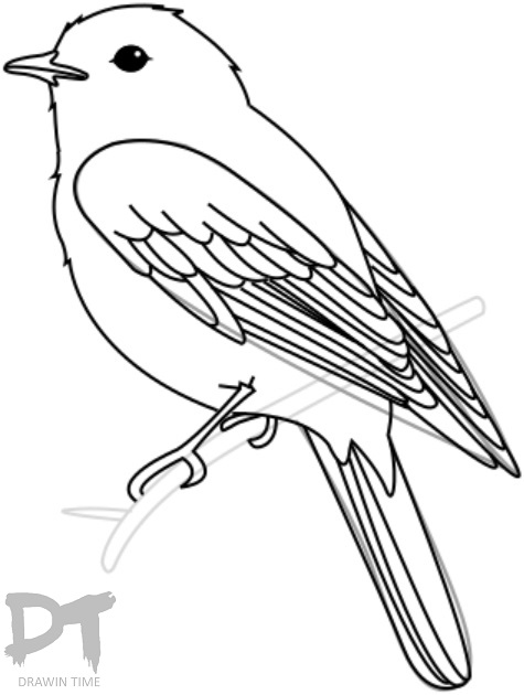 475x630 How To Draw A Bird Drawintime