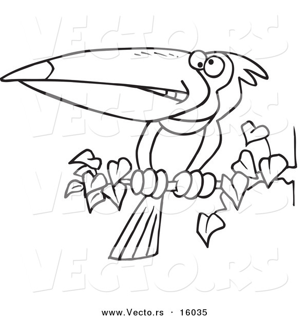 600x620 Vector Of A Cartoon Exotic Toucan Perched On A Branch
