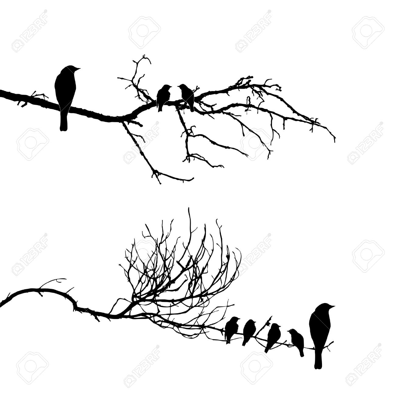 1300x1300 Bird On Tree Drawing Images For Gt Bird On Tree Branch Drawing