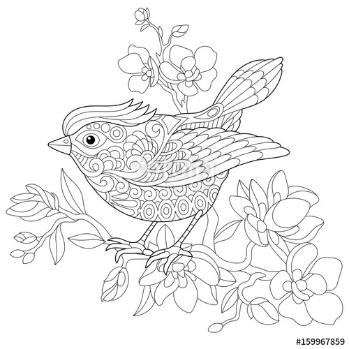 500x500 Coloring Book Page Of Sparrow Bird Sitting On Apple Blossoming