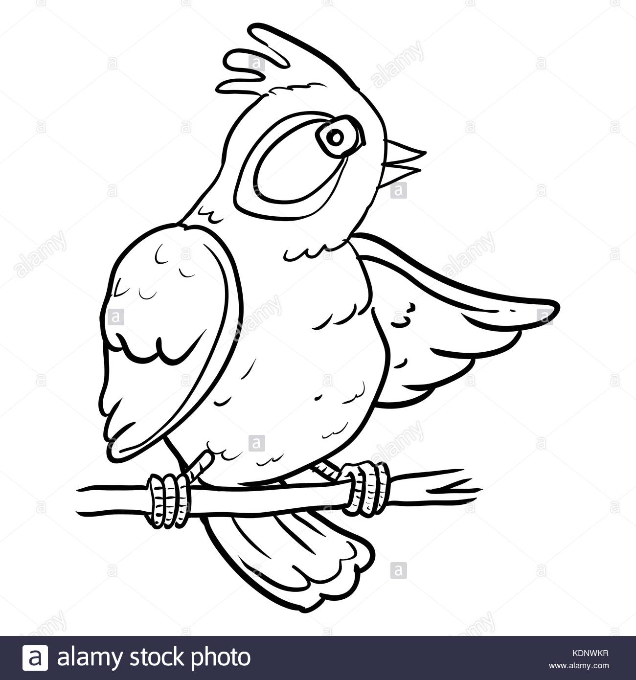 1300x1390 Hand Drawing Of Cartoon Bird On Branch Tree, Sketch Design