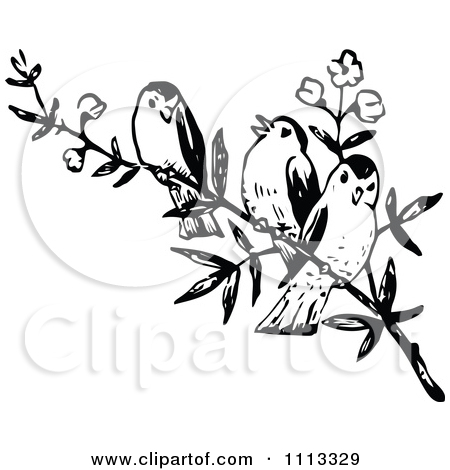 450x470 Little White Bird On A Tree Clipart