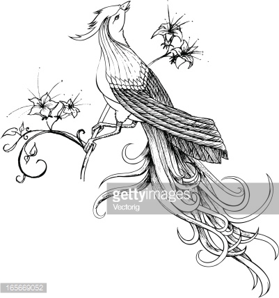 401x428 Pictures Pencil Drawing Bird Flower,