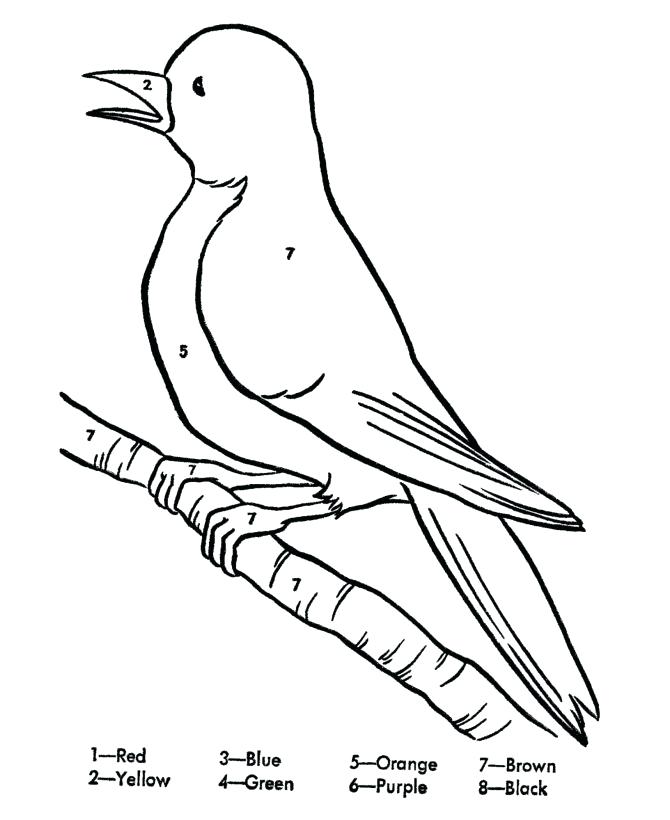 670x820 Robin Bird Coloring Pages Robin Bird Coloring Pages Awesome Bird