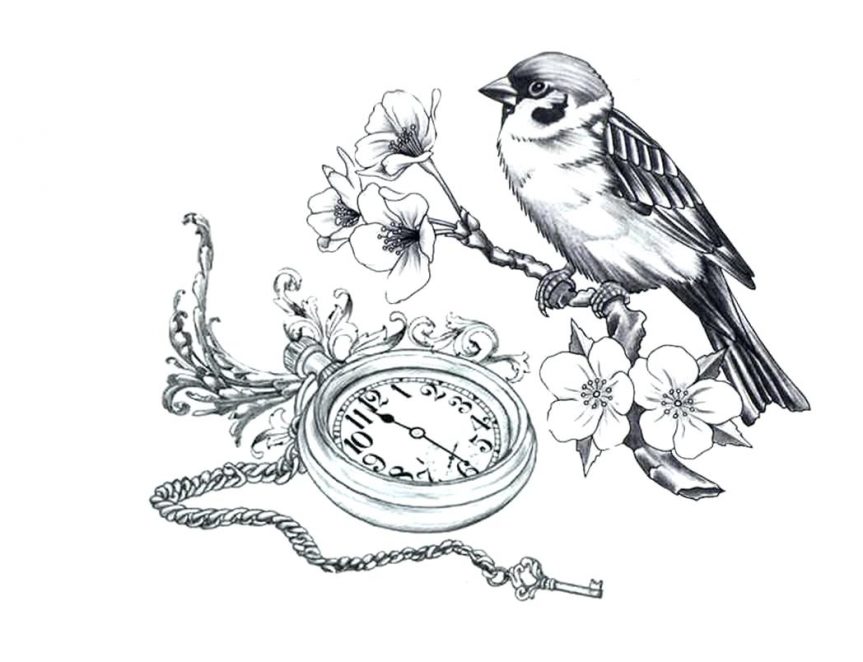 863x662 Vector Silhouette Of The Bird On Branch Tree Stock Traditional