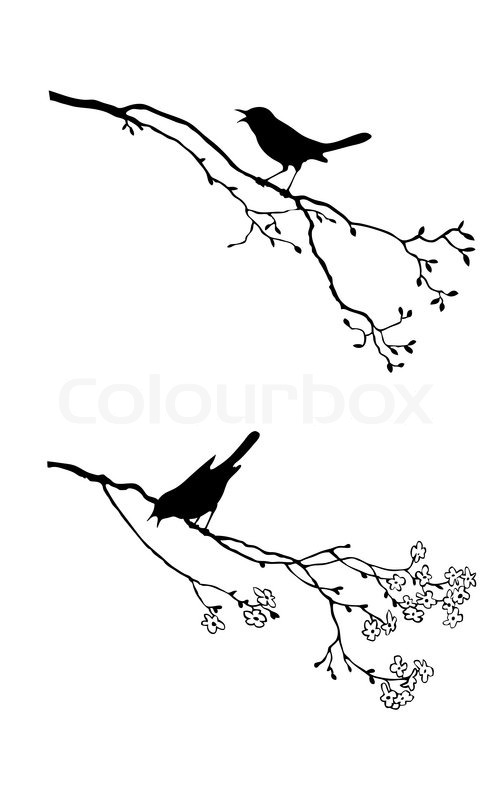 503x800 Vector Silhouette Of The Bird On Branch Tree Stock Vector
