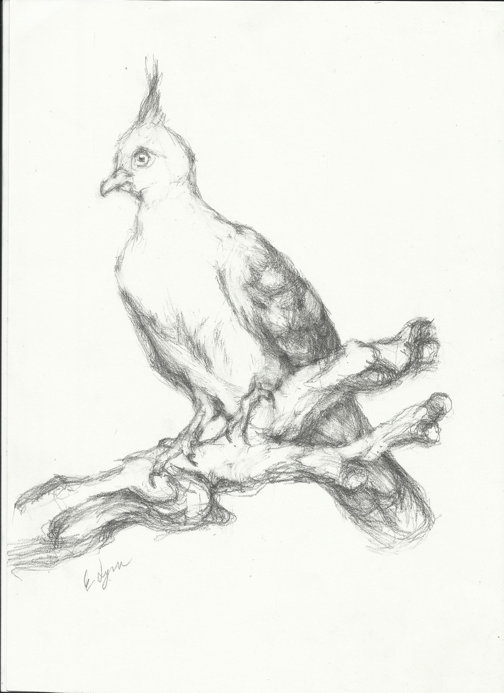 1700x2338 Branch Nightwithdeer